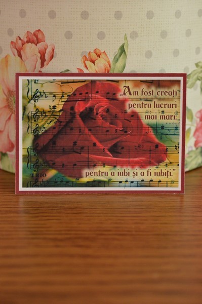 Magnet de frigider-Am fost creati