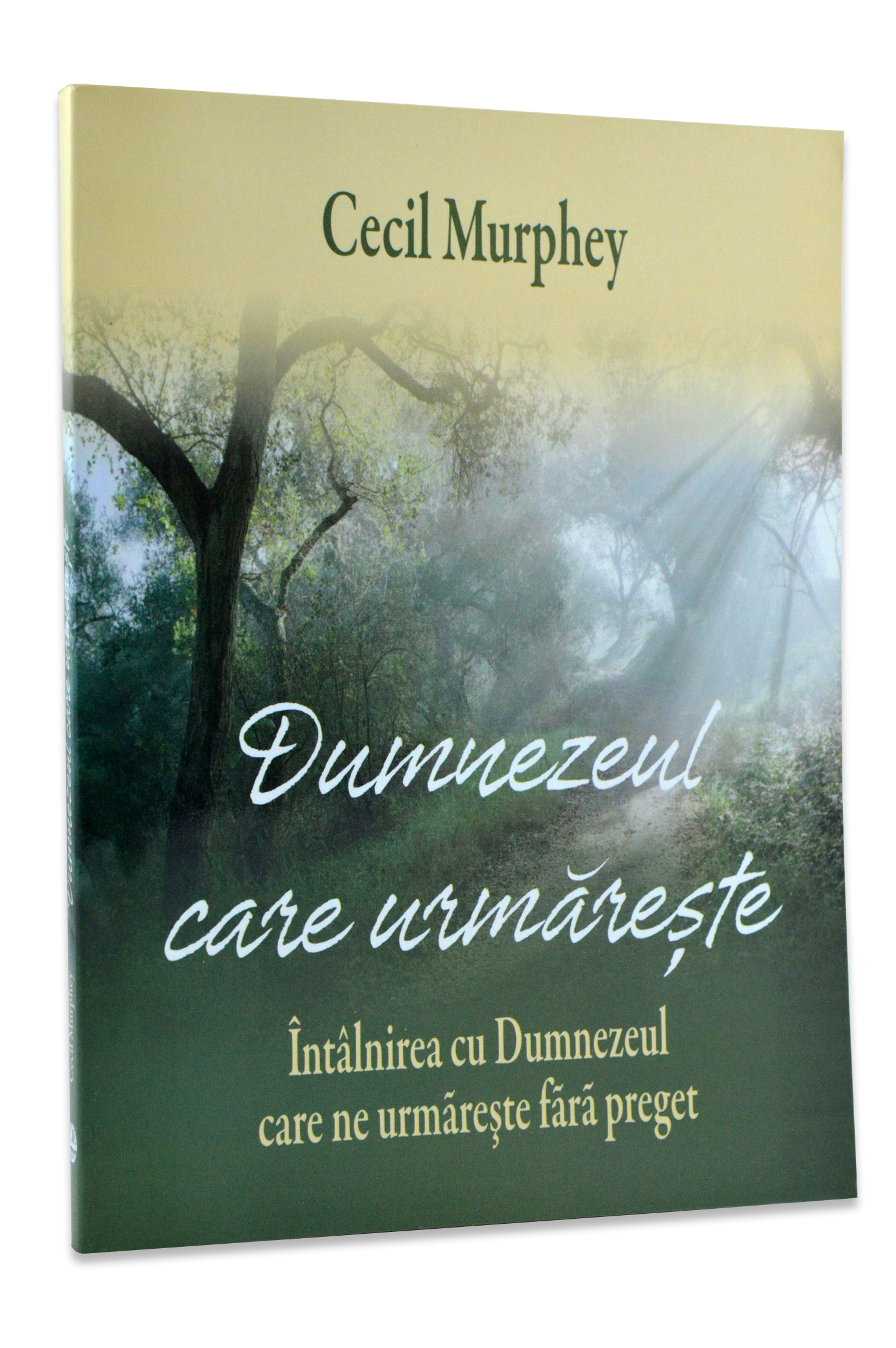 Dumnezeul care urmareste Dumnezeul care urmareste