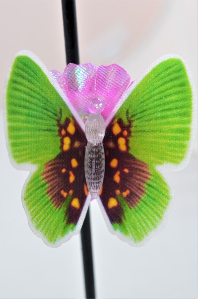 Fluture decorativ 3D  LED- multicolor Fluture decorativ 3D  LED- multicolor