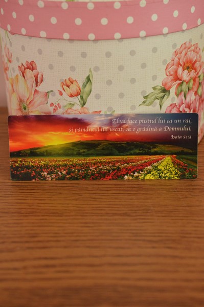 Semn de carte-El va face pustiul lui ca un rai Semn de carte-El va face pustiul lui ca un rai