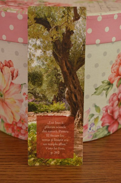 Semn de carte-Lui Isus ii placeau scenele din natura. Semn de carte-Lui Isus ii placeau scenele din natura.