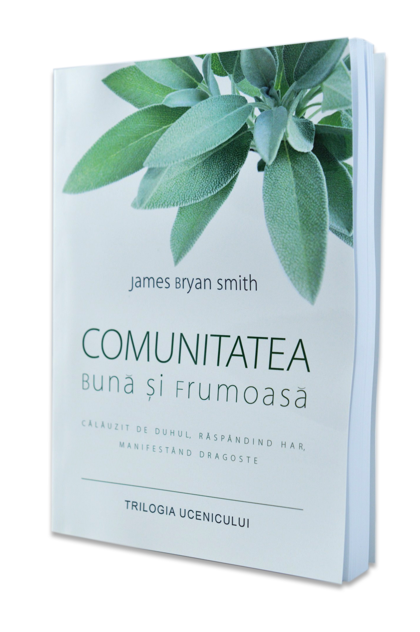 Trilogia Ucenicului - Comunitatea buna si frumoasa