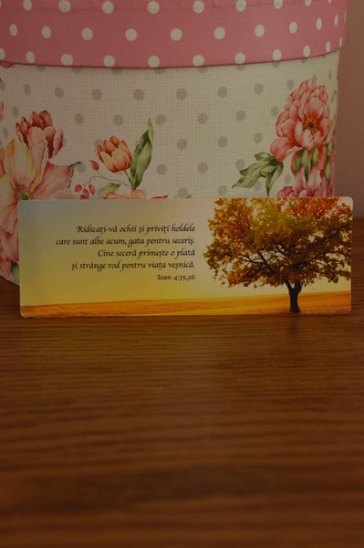 Semn de carte-Ridicati-va ochii Semn de carte-Ridicati-va ochii