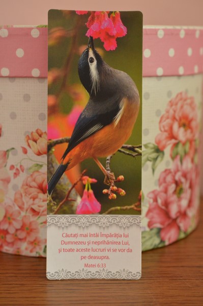 Semn de carte-Cautati mai intai Imparatia Semn de carte-Cautati mai intai Imparatia