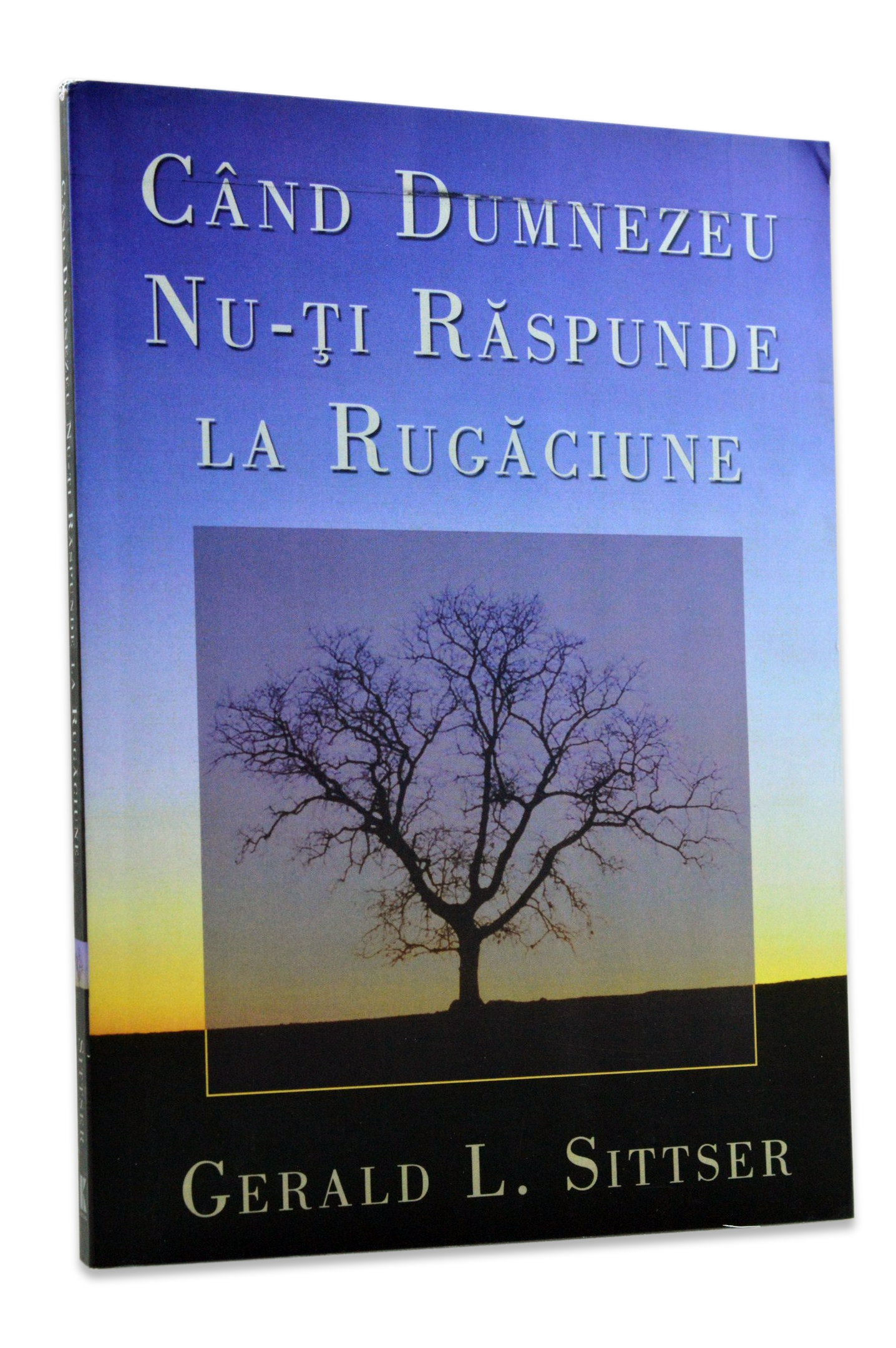 Cand Dumnezeu nu-ti raspunde la rugaciune Cand Dumnezeu nu-ti raspunde la rugaciune