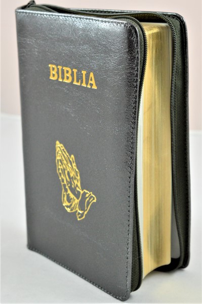 Biblia din piele, medie, kaki sidefat, fermoar, aurita, simbolul maini in ruga, cuv. lui Isus cu rosu [052]
