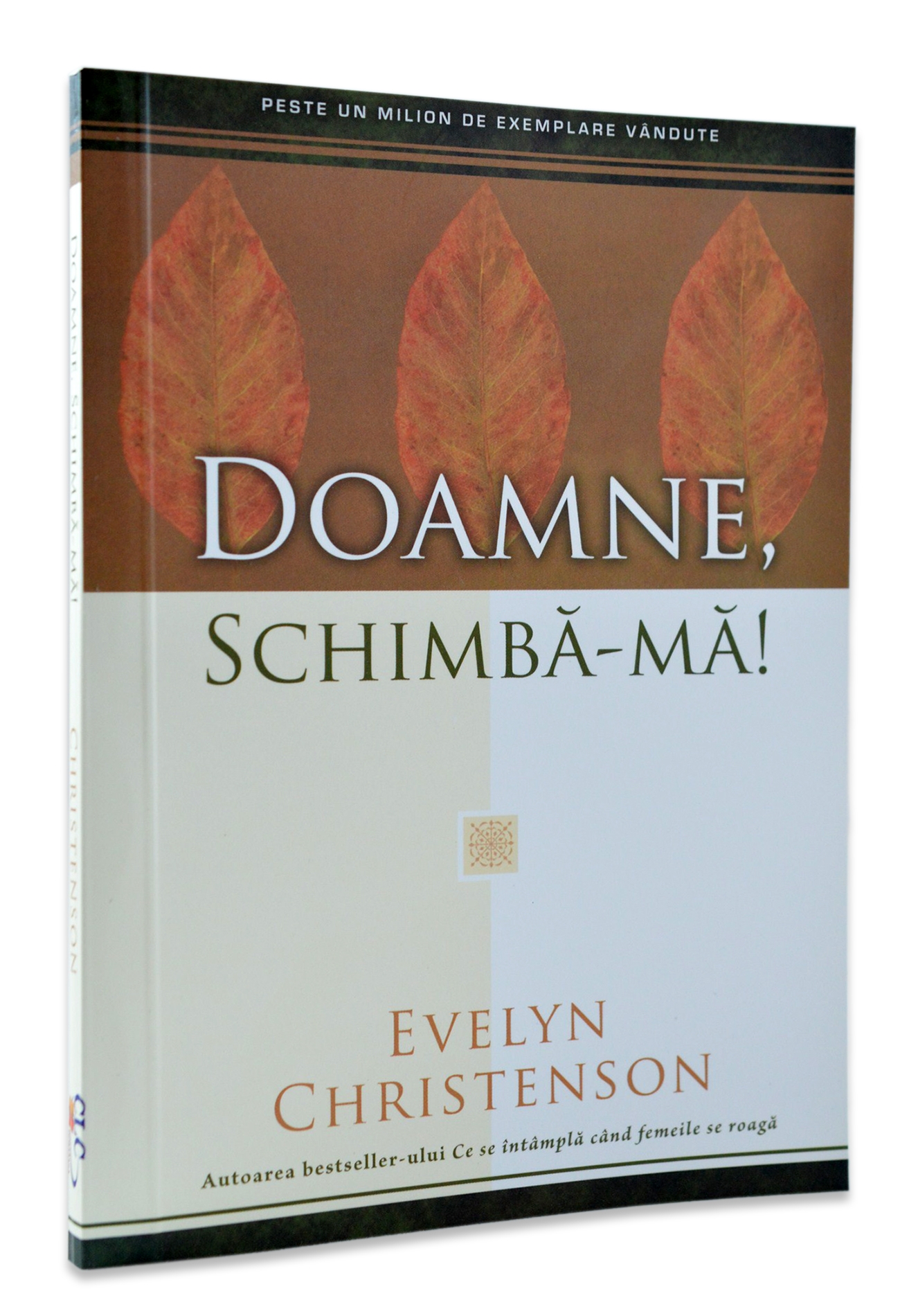 Doamne, schimba-ma! Doamne, schimba-ma!