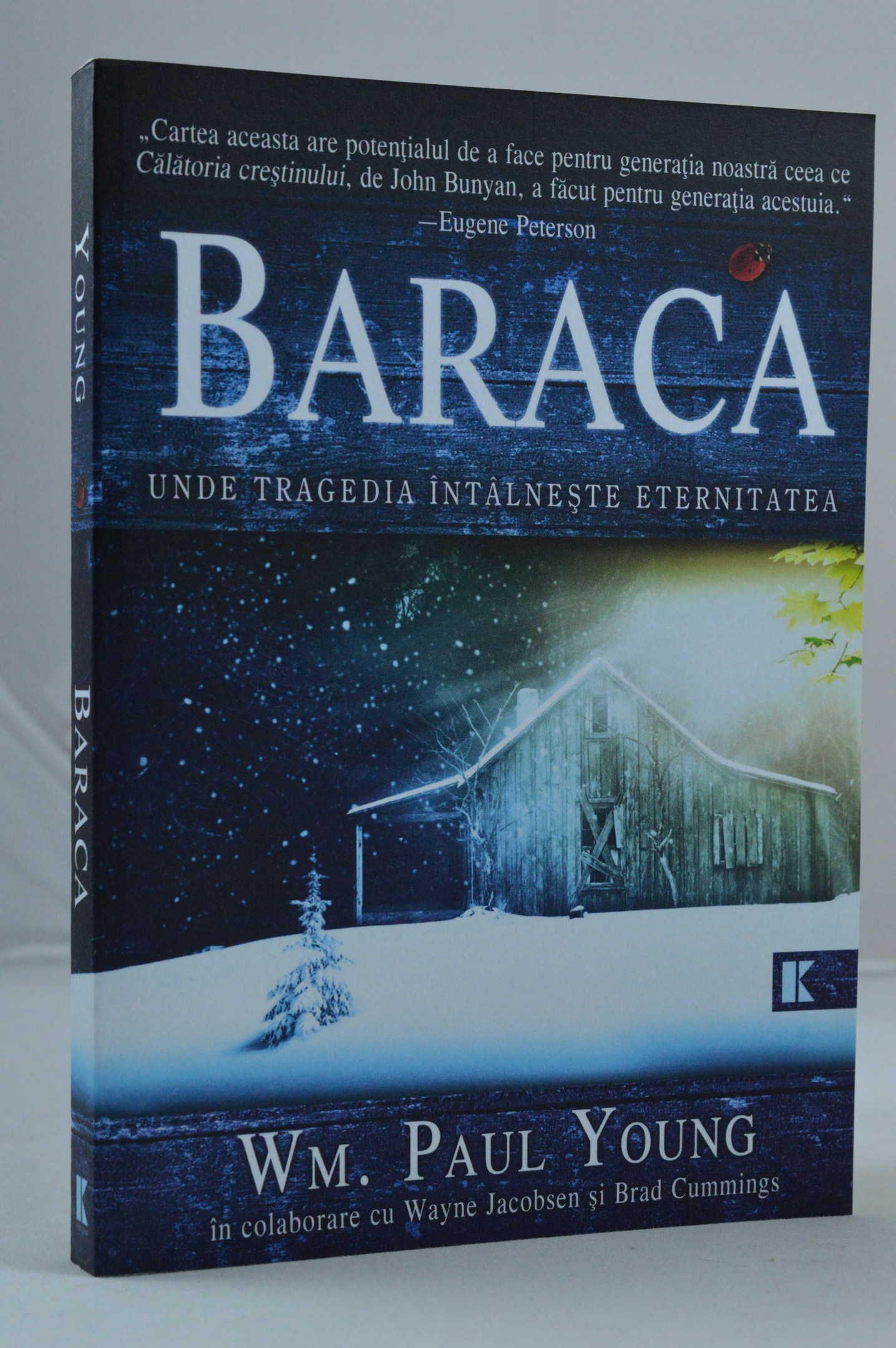 Baraca. Unde tragedia intalneste eternitatea - (Roman crestin)