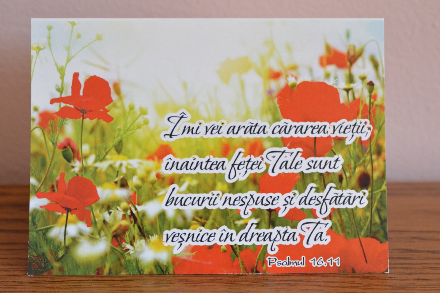 Felicitare A6 - Imi vei arata cararea vietii Felicitare A6 - Imi vei arata cararea vietii