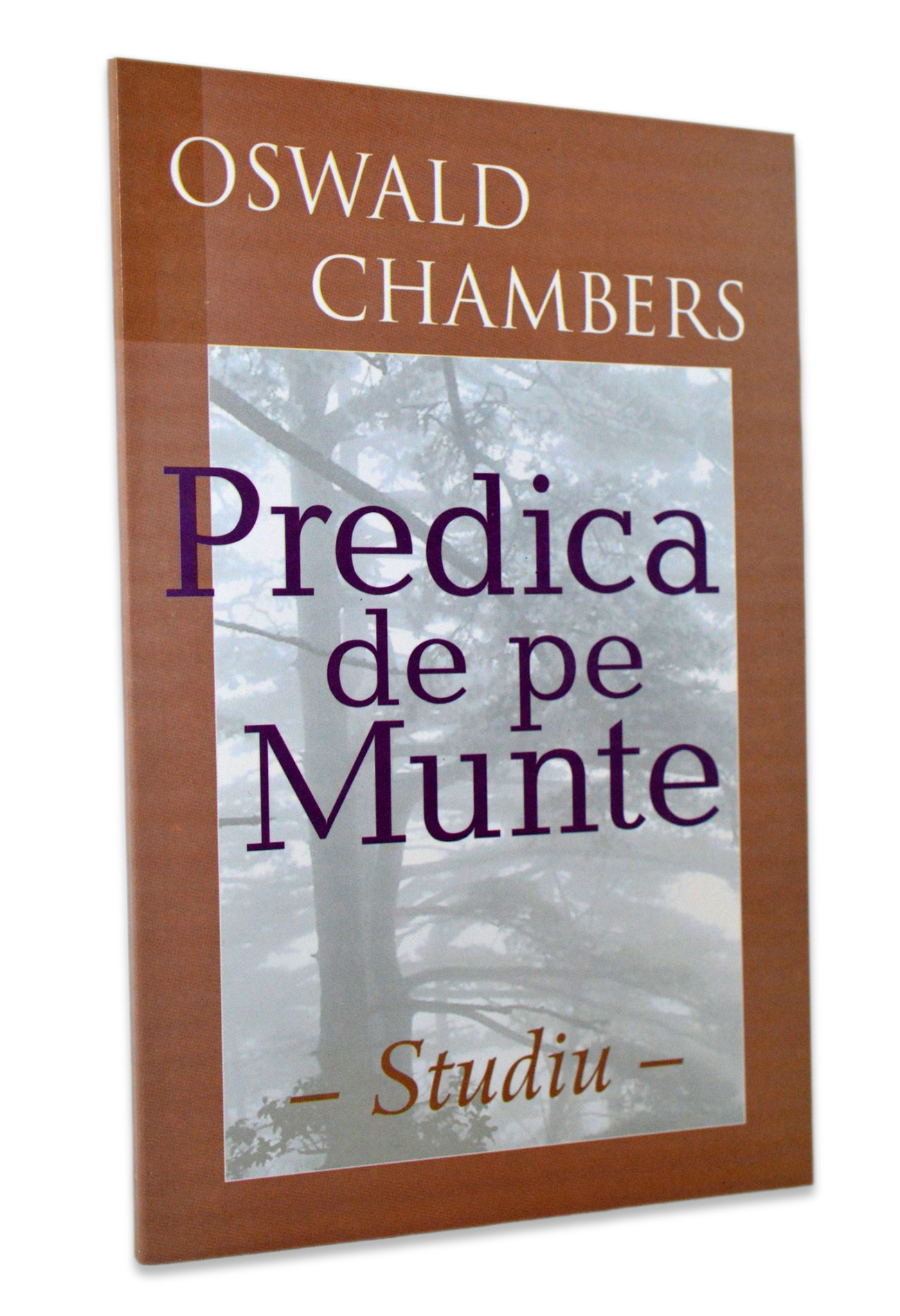Predica de pe munte - studiu