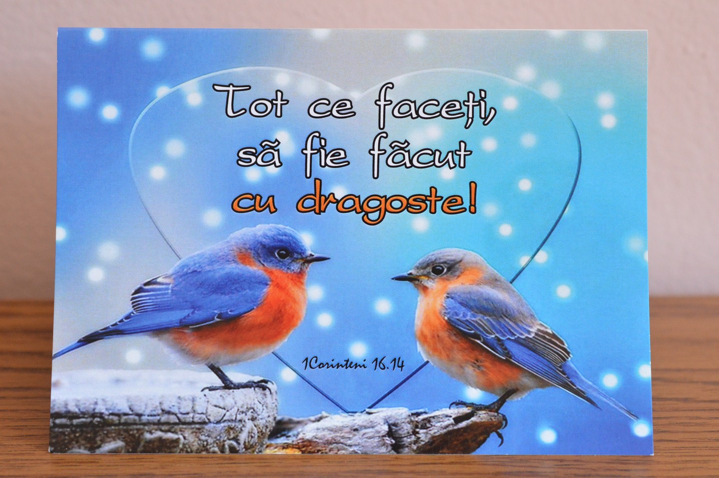 Felicitare A6 - Tot ce faceti, sa fie facut cu dragoste! Felicitare A6 - Tot ce faceti, sa fie facut cu dragoste!