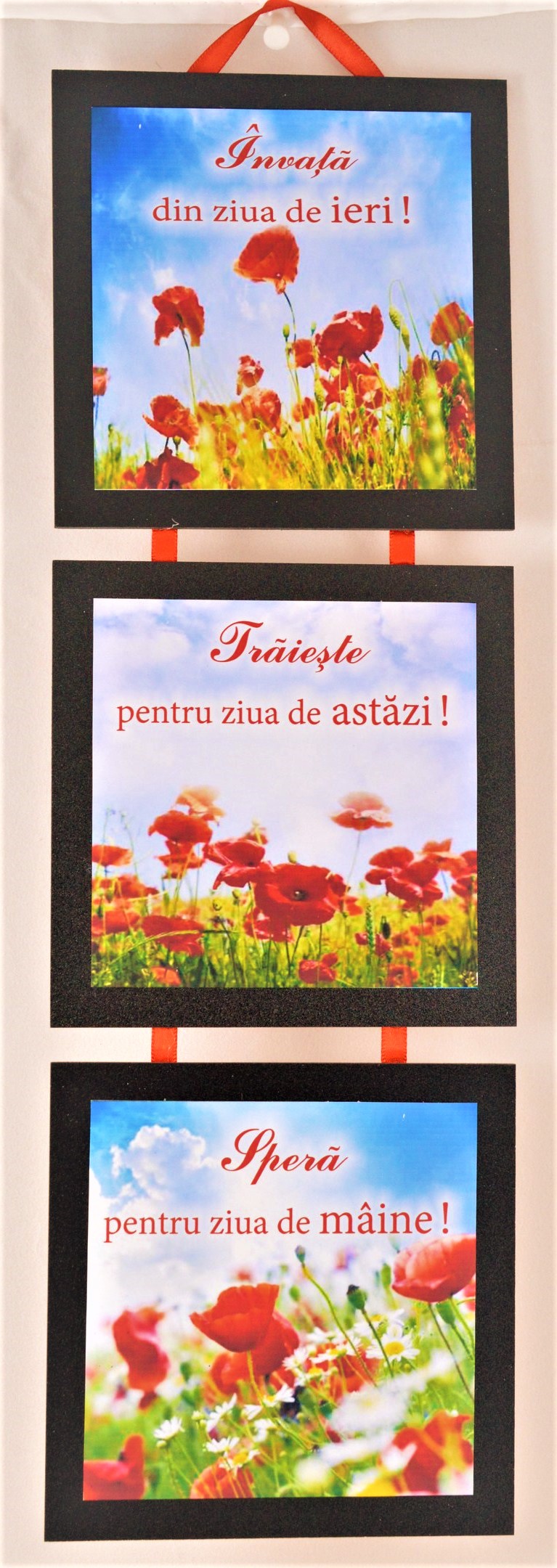 Set 3 mini tablouri - Invata, Traieste, Spera Set 3 mini tablouri - Invata, Traieste, Spera