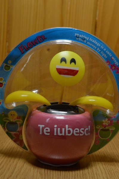 Floare solara - Te iubesc! Floare solara - Te iubesc!