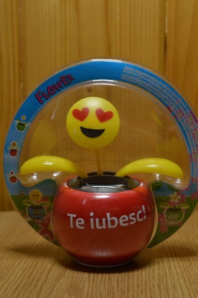 Floare solara - Te iubesc!