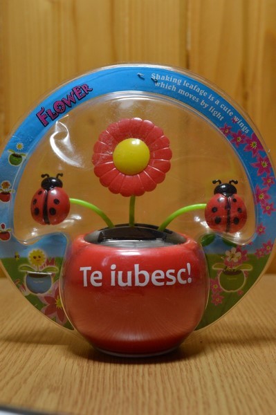 Floare solara - Te iubesc!