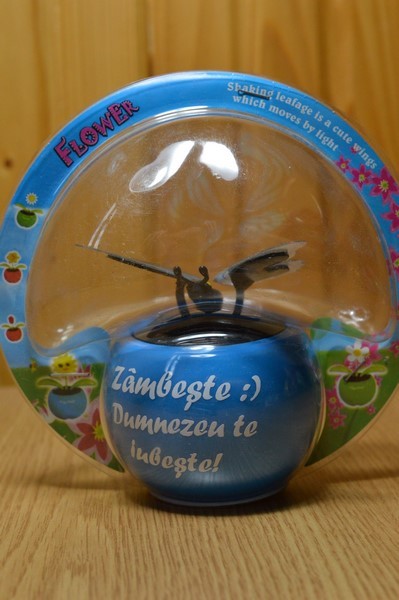 Fluture solar - Zambeste :) Dumnezeu te iubeste! Fluture solar - Zambeste :) Dumnezeu te iubeste!