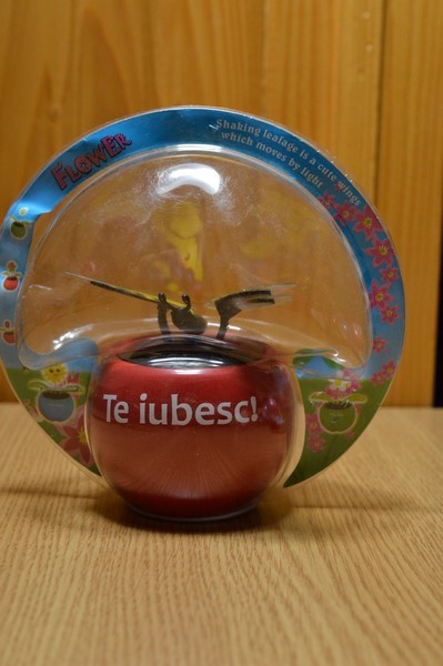 Fluture solar - Zambeste :) Dumnezeu te iubeste!