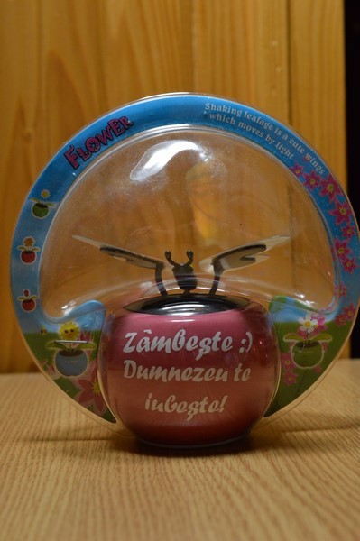 Fluture solar - Zambeste :) Dumnezeu te iubeste! Fluture solar - Zambeste :) Dumnezeu te iubeste!