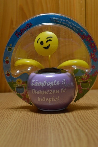 Floare solara - Zambeste :) Dumnezeu te iubeste! Floare solara - Zambeste :) Dumnezeu te iubeste!