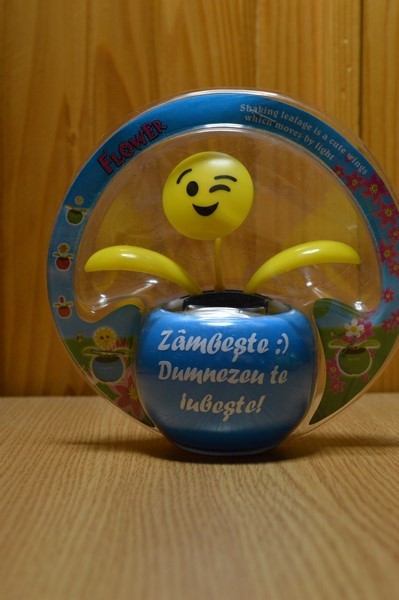 Floare solara - Zambeste :) Dumnezeu te iubeste! Floare solara - Zambeste :) Dumnezeu te iubeste!