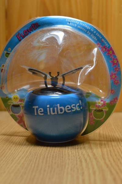 Fluture solar - Te iubesc! Fluture solar - Te iubesc!