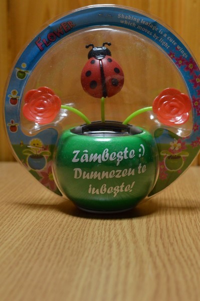 Floare solara - Zambeste :) Dumnezeu te iubeste! Floare solara - Zambeste :) Dumnezeu te iubeste!