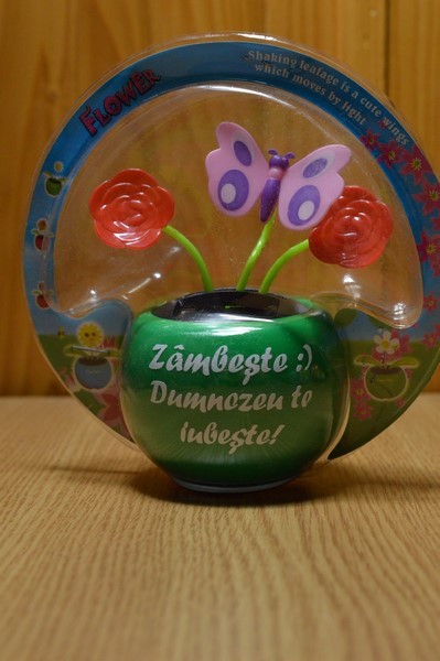 Floare solara - Zambeste :) Dumnezeu te iubeste! Floare solara - Zambeste :) Dumnezeu te iubeste!