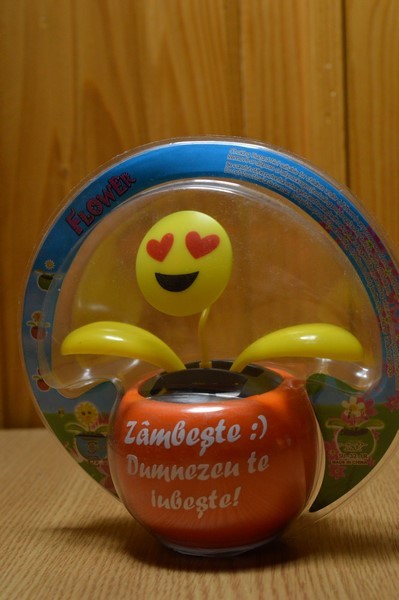 Floare solara - Zambeste :) Dumnezeu te iubeste! Floare solara - Zambeste :) Dumnezeu te iubeste!