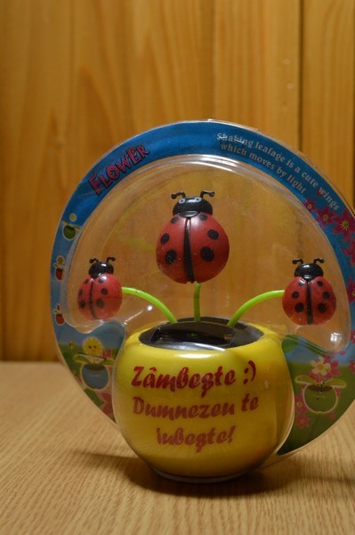 Buburuza solara - Zambeste :) Dumnezeu te iubeste! Buburuza solara - Zambeste :) Dumnezeu te iubeste!