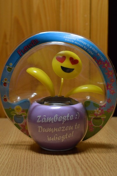 Floare solara - Zambeste :) Dumnezeu te iubeste! Floare solara - Zambeste :) Dumnezeu te iubeste!