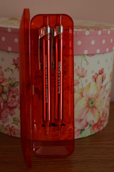 SET PIX SI CREION CUTIE rosie din plastic SET PIX SI CREION CUTIE rosie din plastic