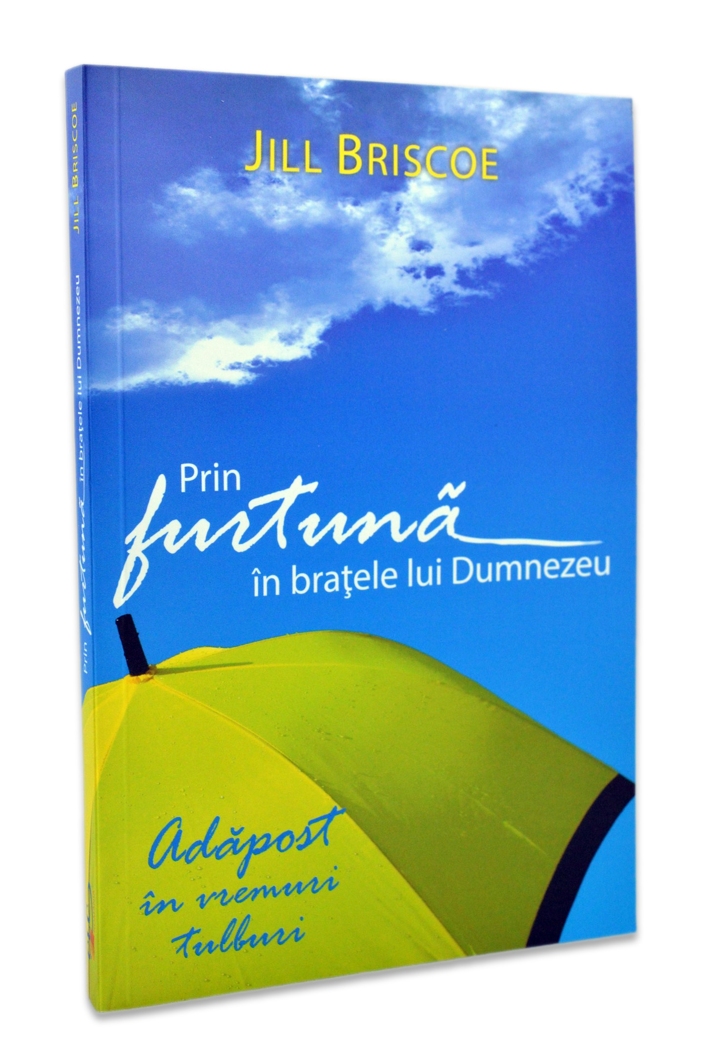Prin furtună in braţele lui Dumnezeu - Studiu Prin furtună in braţele lui Dumnezeu - Studiu