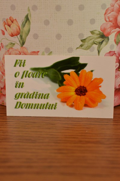 Carduri cu versete-Fii o floare Carduri cu versete-Fii o floare