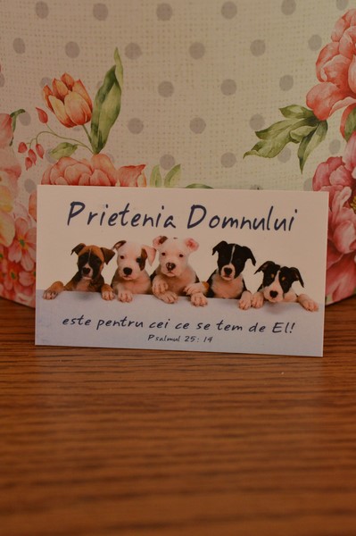 Carduri cu versete-Prietenia Domnului Carduri cu versete-Prietenia Domnului