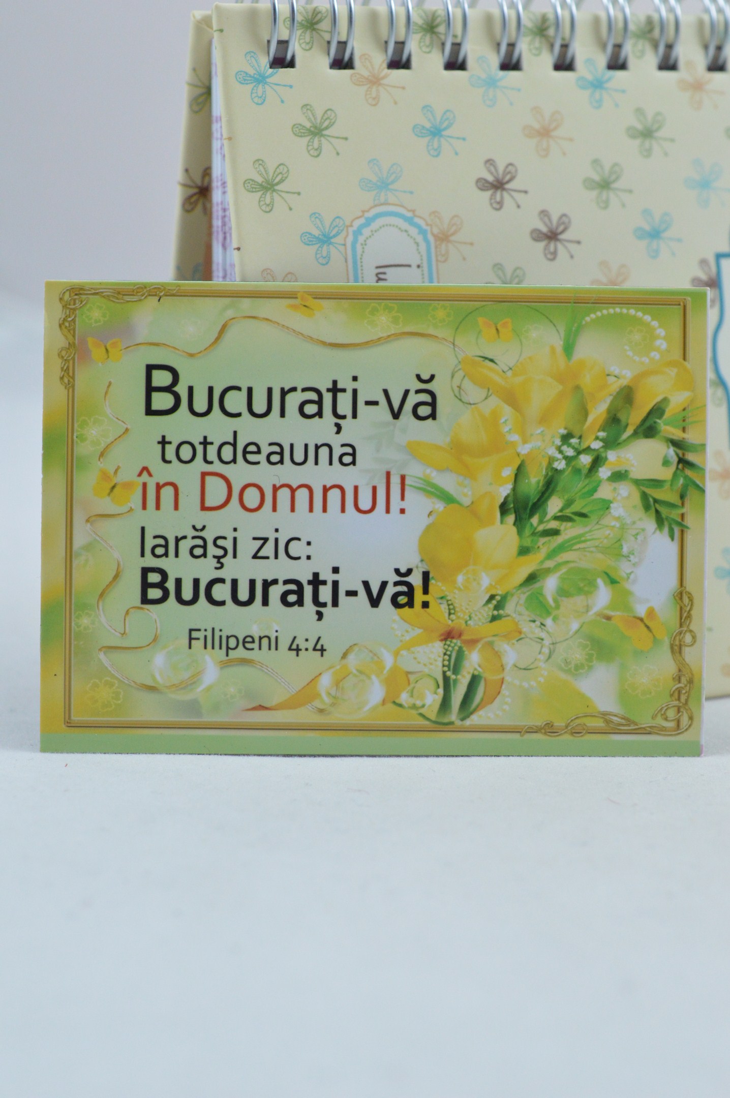 Magnet de frigider: Bucuraţi-vă Magnet de frigider: Bucuraţi-vă