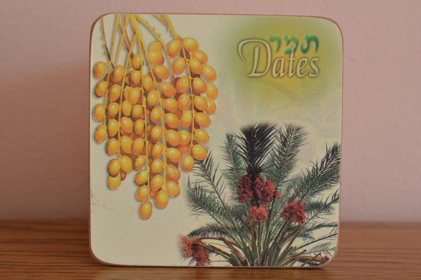 Suport cana - plante Suport cana - plante