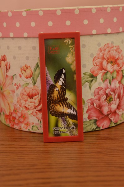 Rama foto mica - Magnet Rama foto mica - Magnet