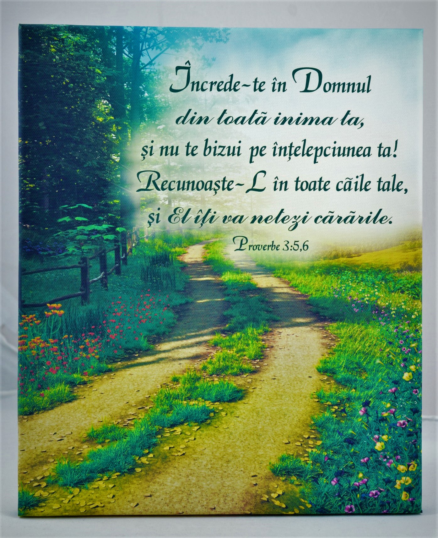 Tablou canvas (25x30cm) - Încrede-te în Domnul Tablou canvas (25x30cm) - Încrede-te în Domnul