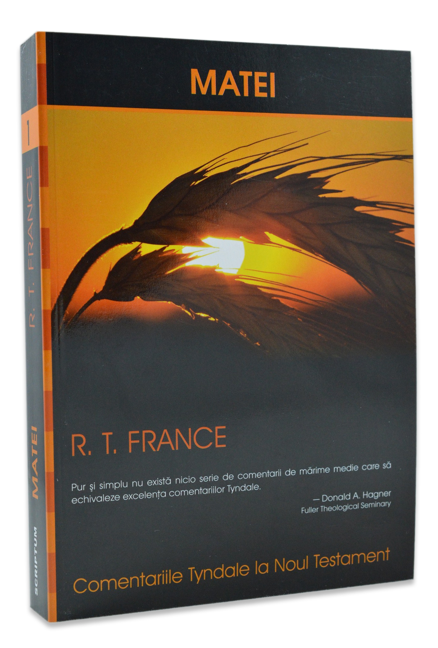 Comentarii biblice Tyndale - Evanghelia dupa Matei, vol. 1 Comentarii biblice Tyndale - Evanghelia dupa Matei, vol. 1