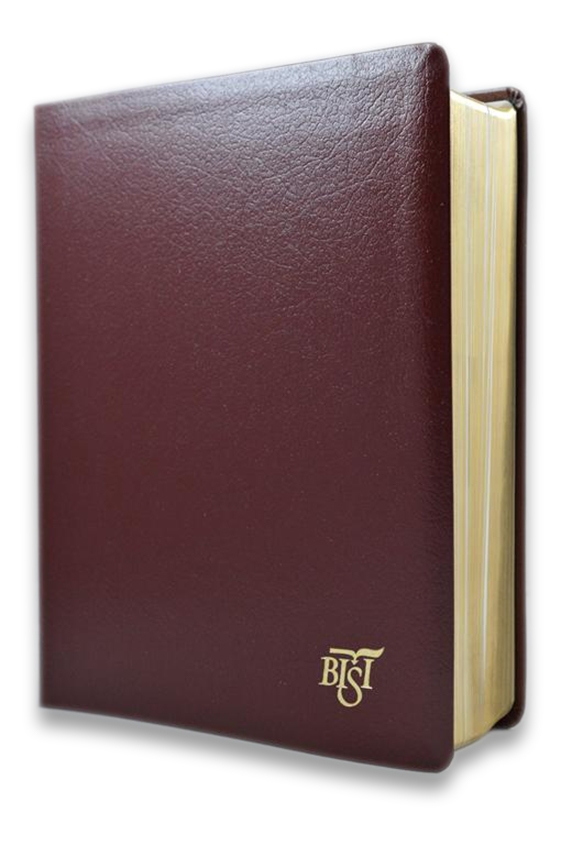 Biblia de studiu inductiv (trad. D. Cornilescu) - visinie