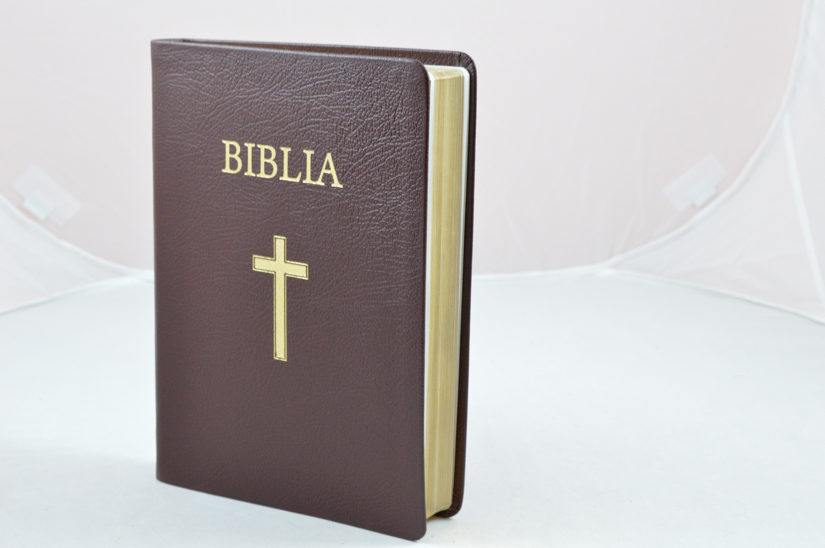 Biblie din piele visinie, mare, margini aurii, cu cruce [073 P]