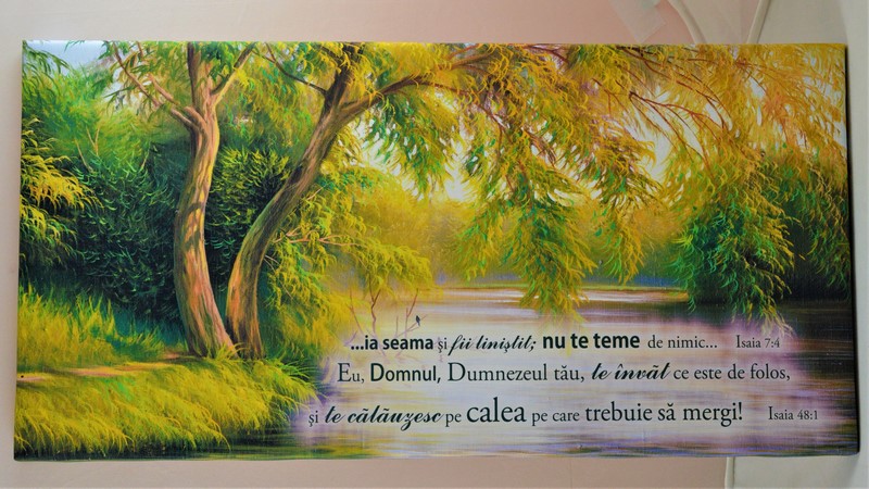 Tablou canvas -Nu te teme (25x50 cm)