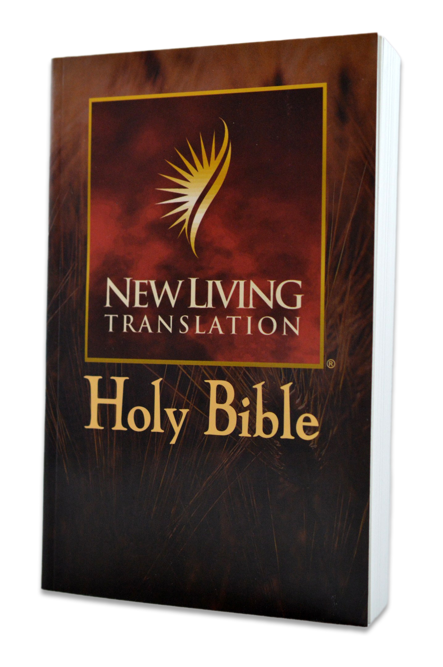 Biblia in limba engleza - Holy Bible, New Living Translation Biblia in limba engleza - Holy Bible, New Living Translation
