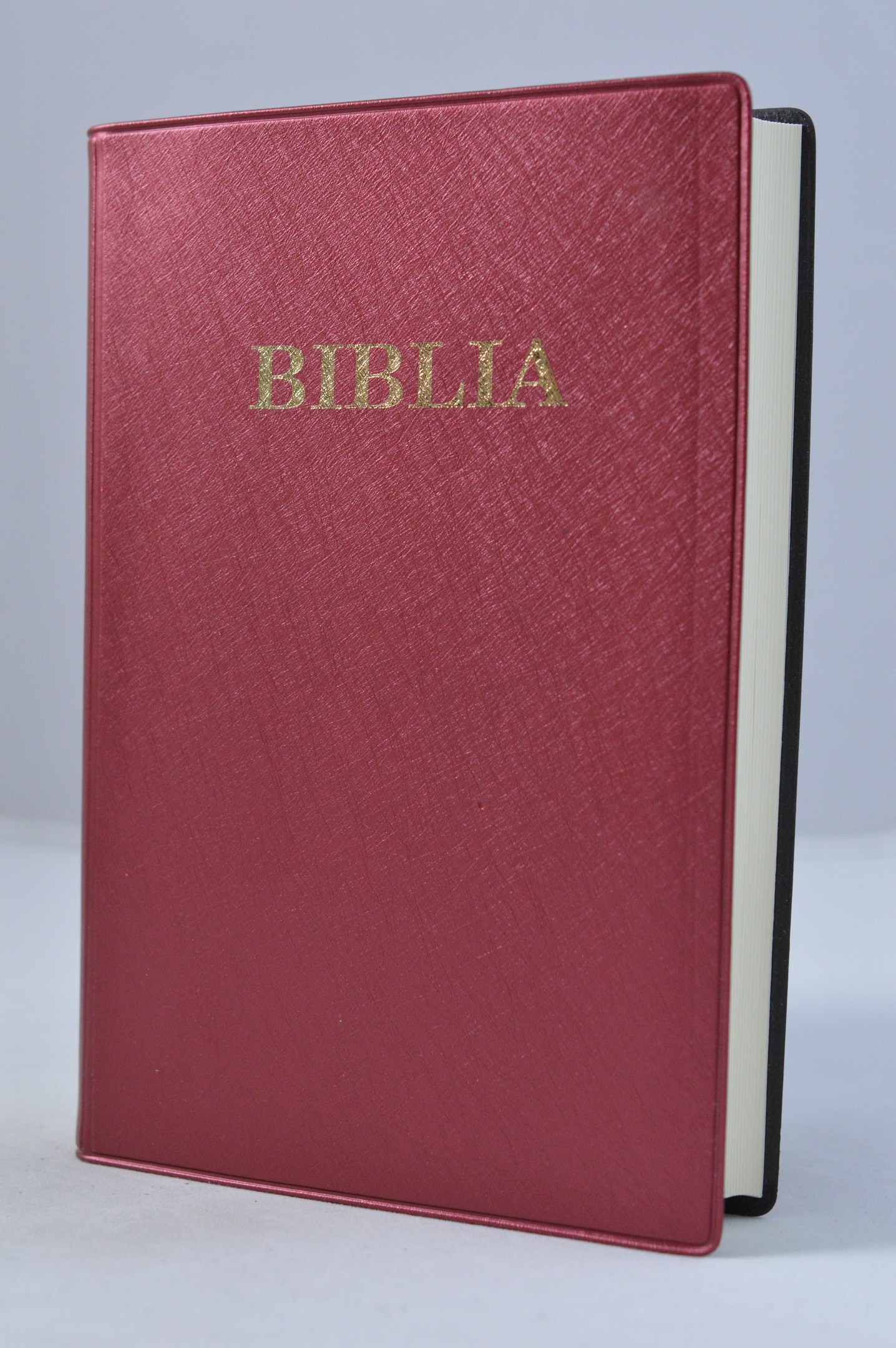 Biblie marime medie, coperta moale, visinie, fara cruce [SI 053]