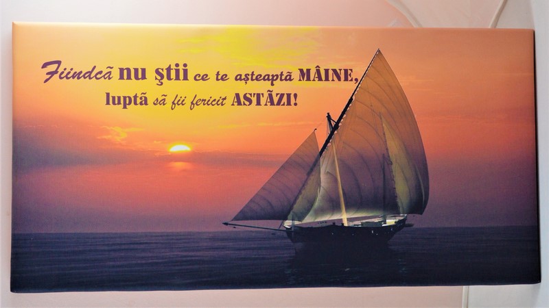 Tablou canvas -Nu stii (25x50 cm) Tablou canvas -Nu stii (25x50 cm)