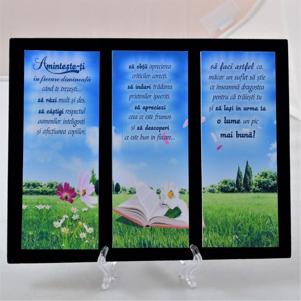 Placheta catifea - Aminteste-ti Placheta catifea - Aminteste-ti