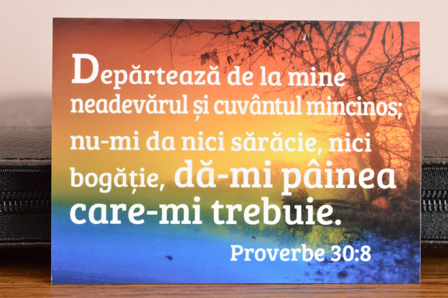 Magnet de frigider: Departeaza de la mine... Magnet de frigider: Departeaza de la mine...