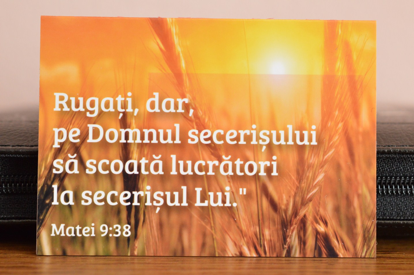 Magnet de frigider: Rugati, dar, pe Domnul Magnet de frigider: Rugati, dar, pe Domnul