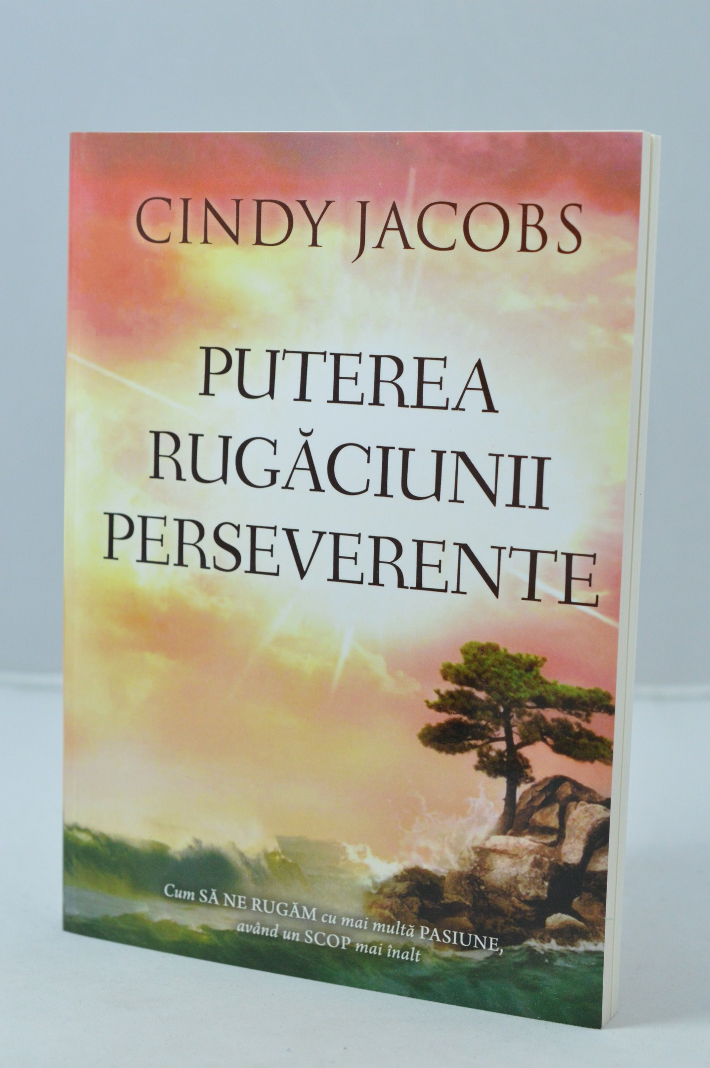 Puterea rugaciunii perseverente Puterea rugaciunii perseverente