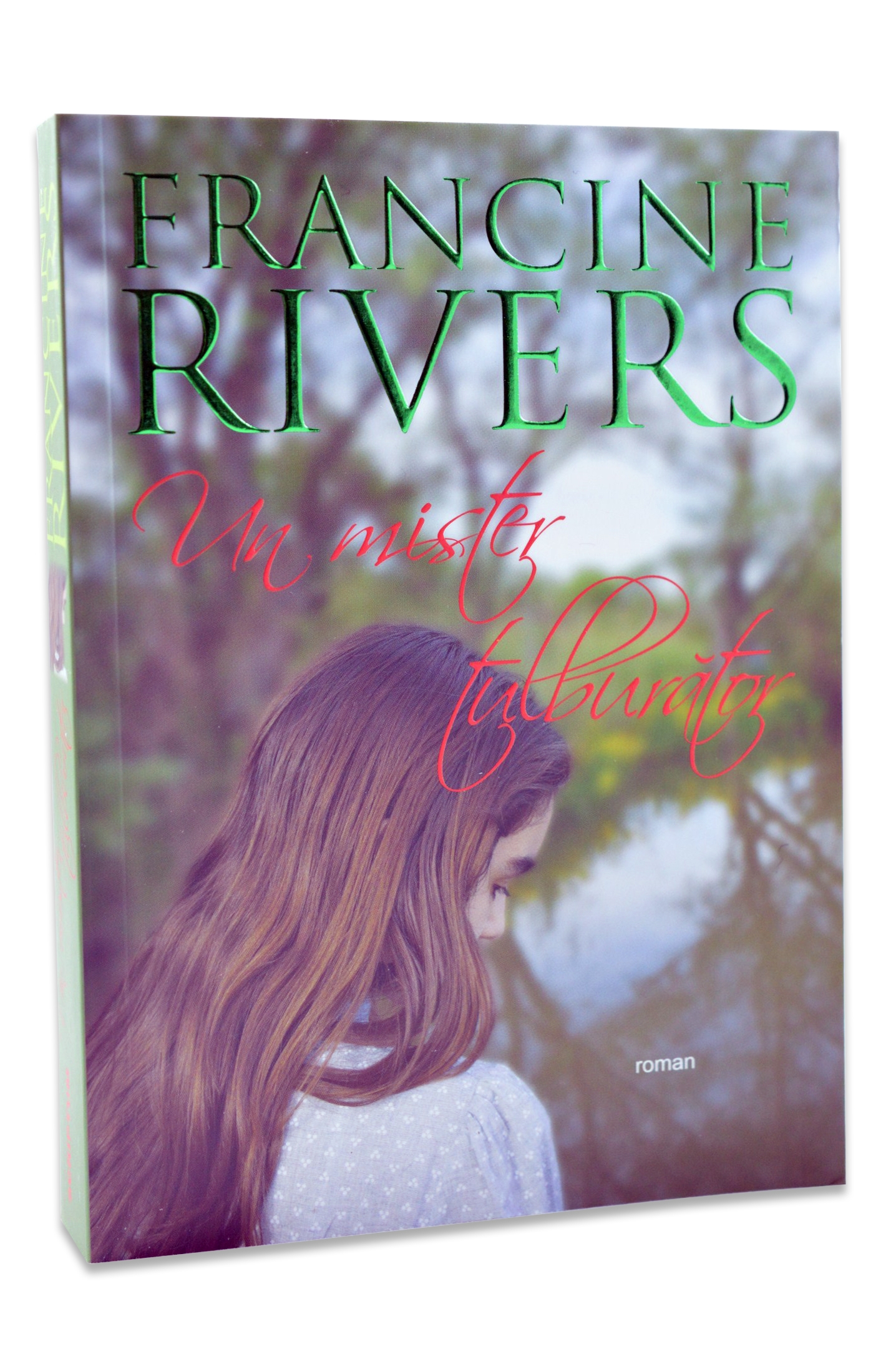 Un mister tulburator - Roman crestin